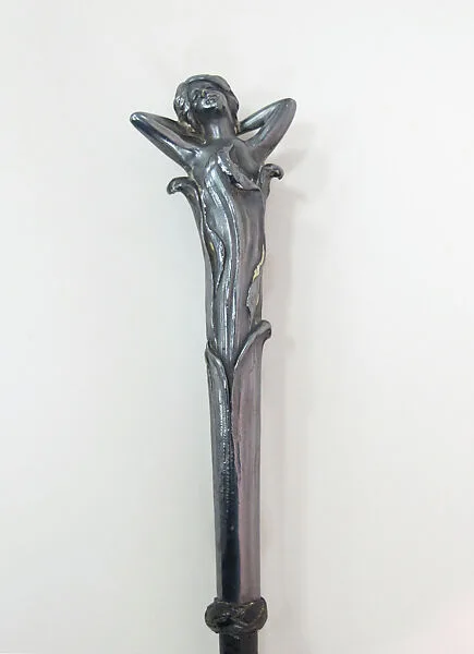 Walking stick — Unknown