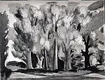Group of Trees