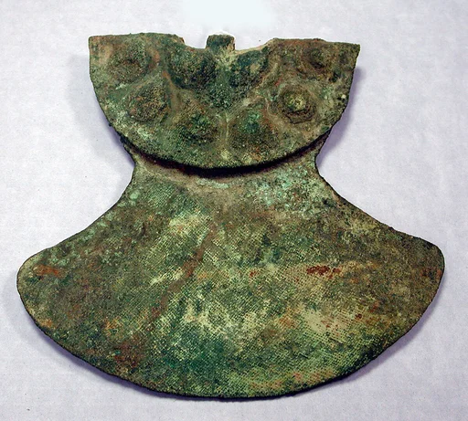 Copper Armour Back