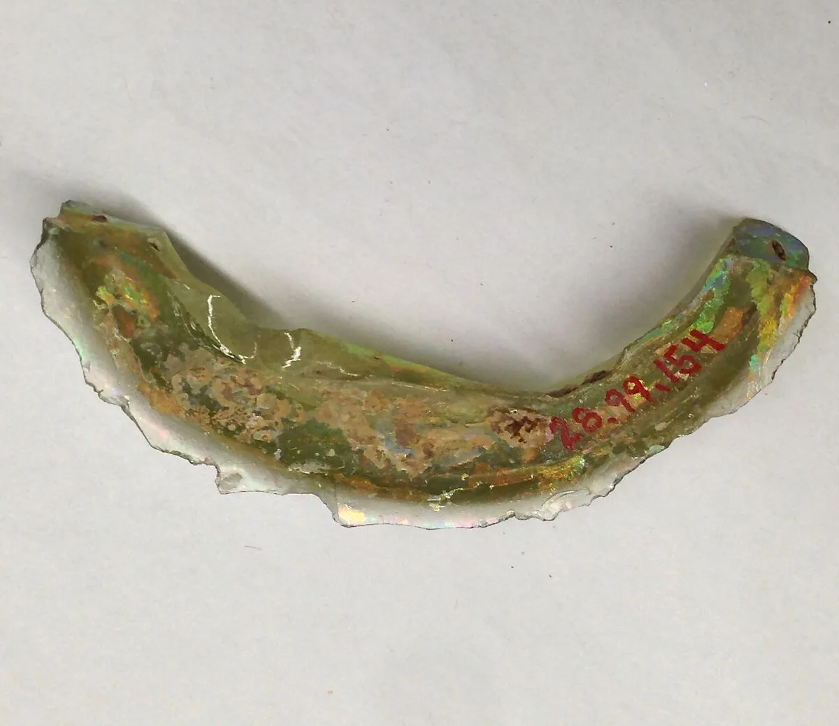 Fragment — Unknown