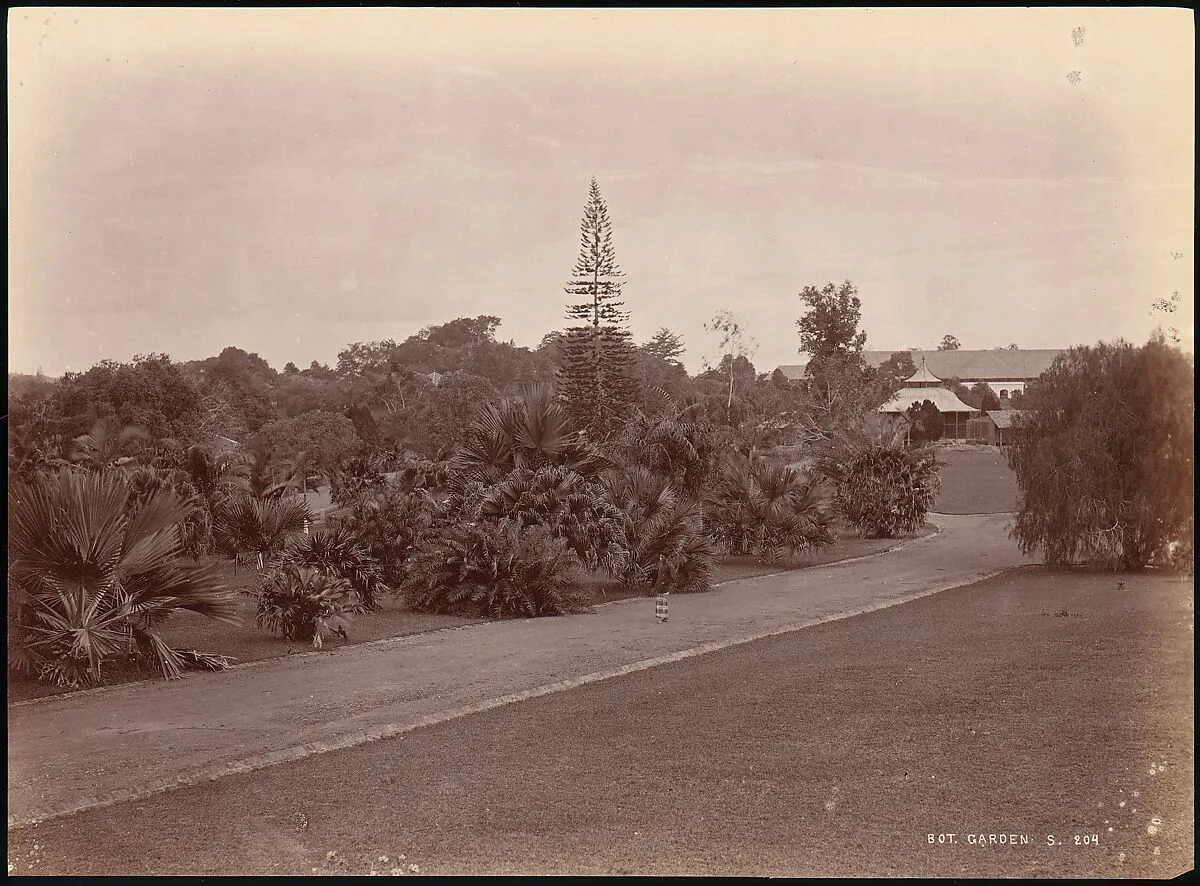 Botanical Garden — Unknown