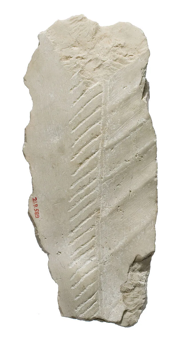 Body with garment, shawl pleating, fringe — Unknown