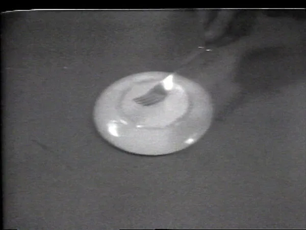 Hidden Utensil — William Wegman