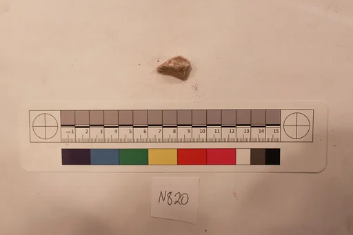 Stucco Fragment