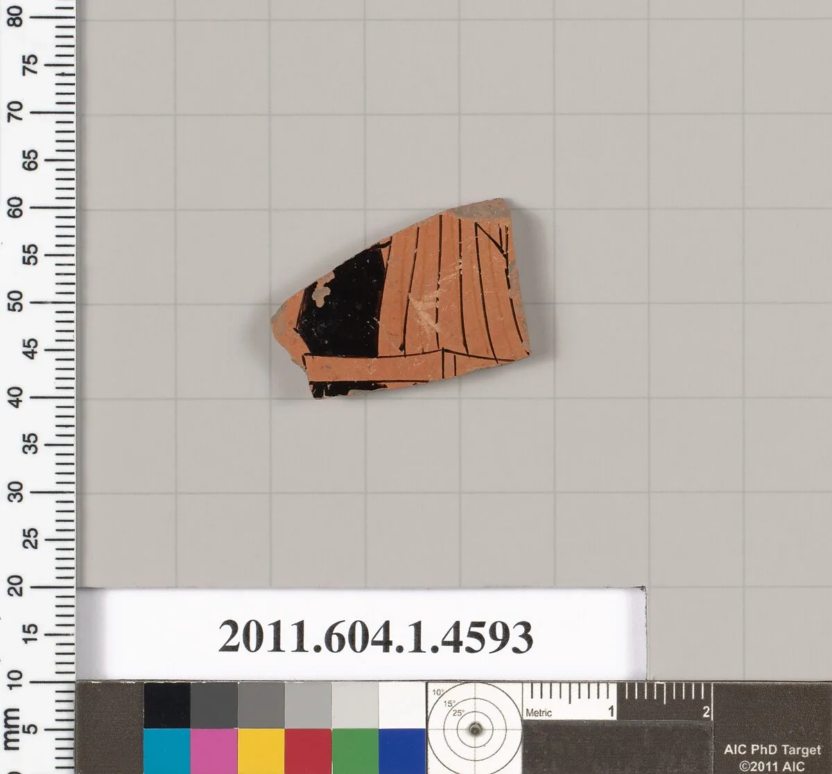 Terracotta fragment of a kylix (drinking cup) — Unknown