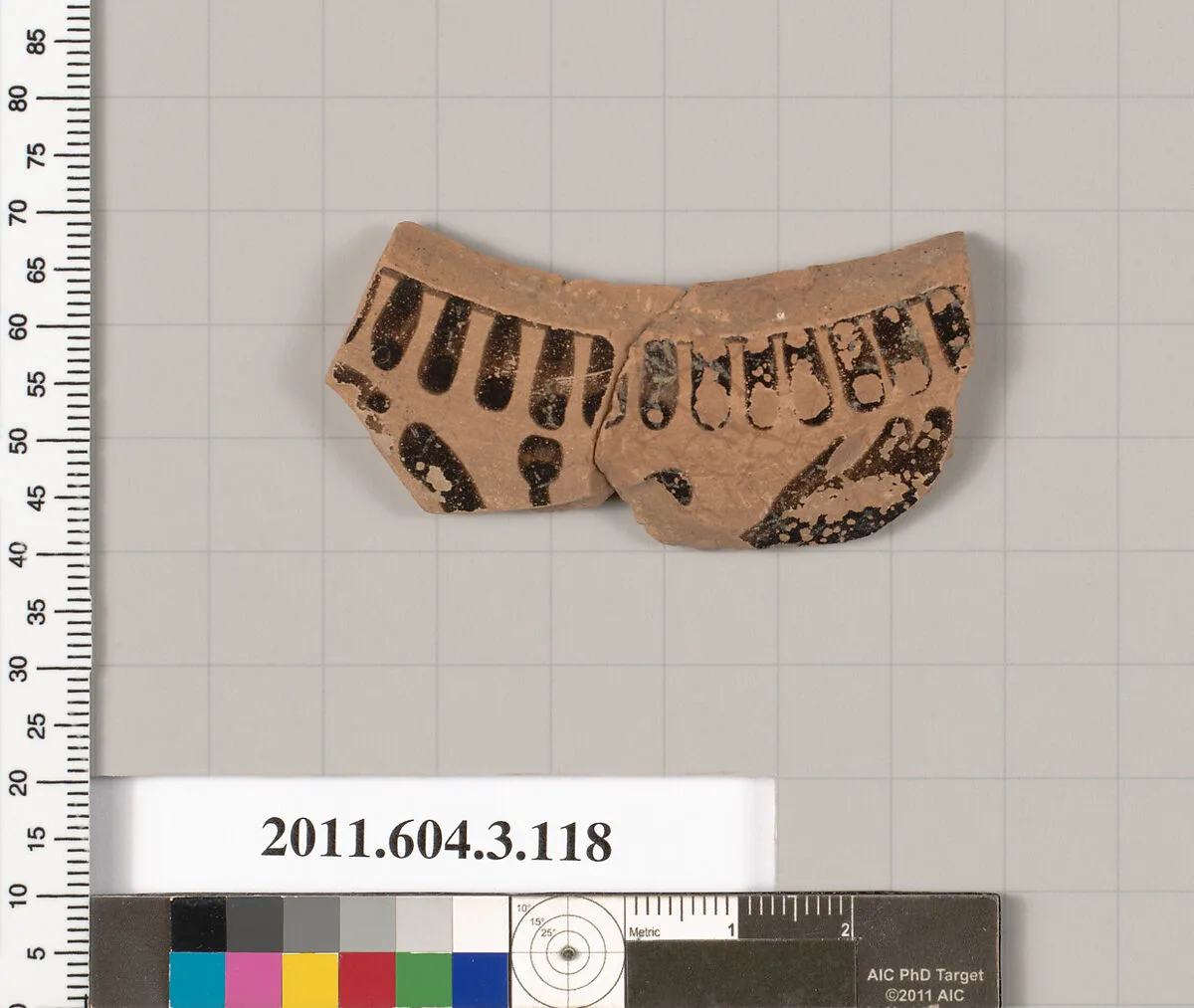 Terracotta fragment of an amphora (jar)? — Unknown