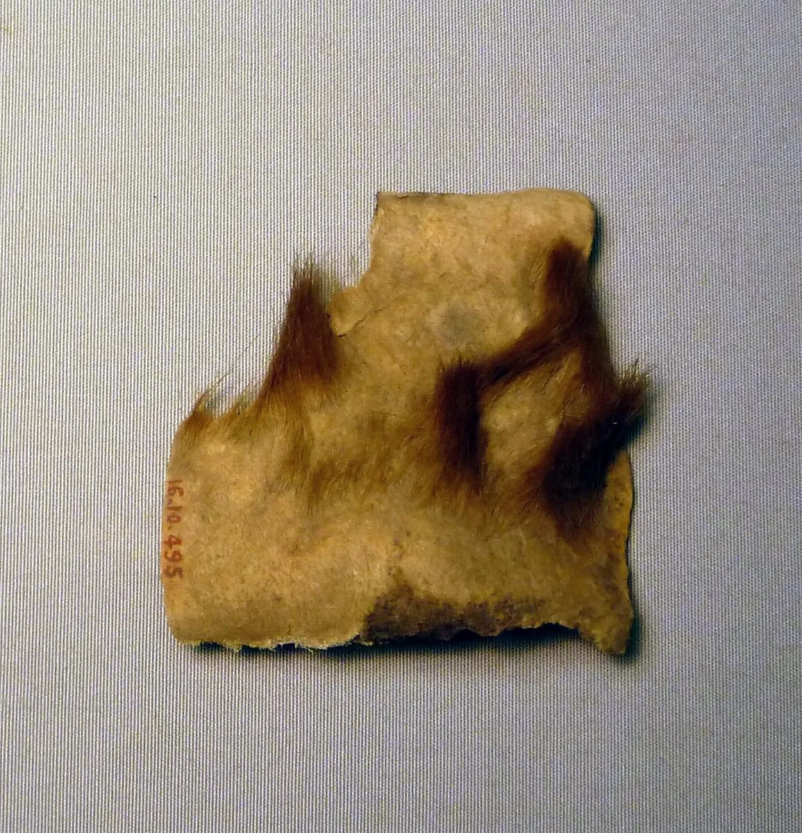 Hide Fragment From Foundation Deposit 2 of Hatshepsut's Valley Temple — Unknown