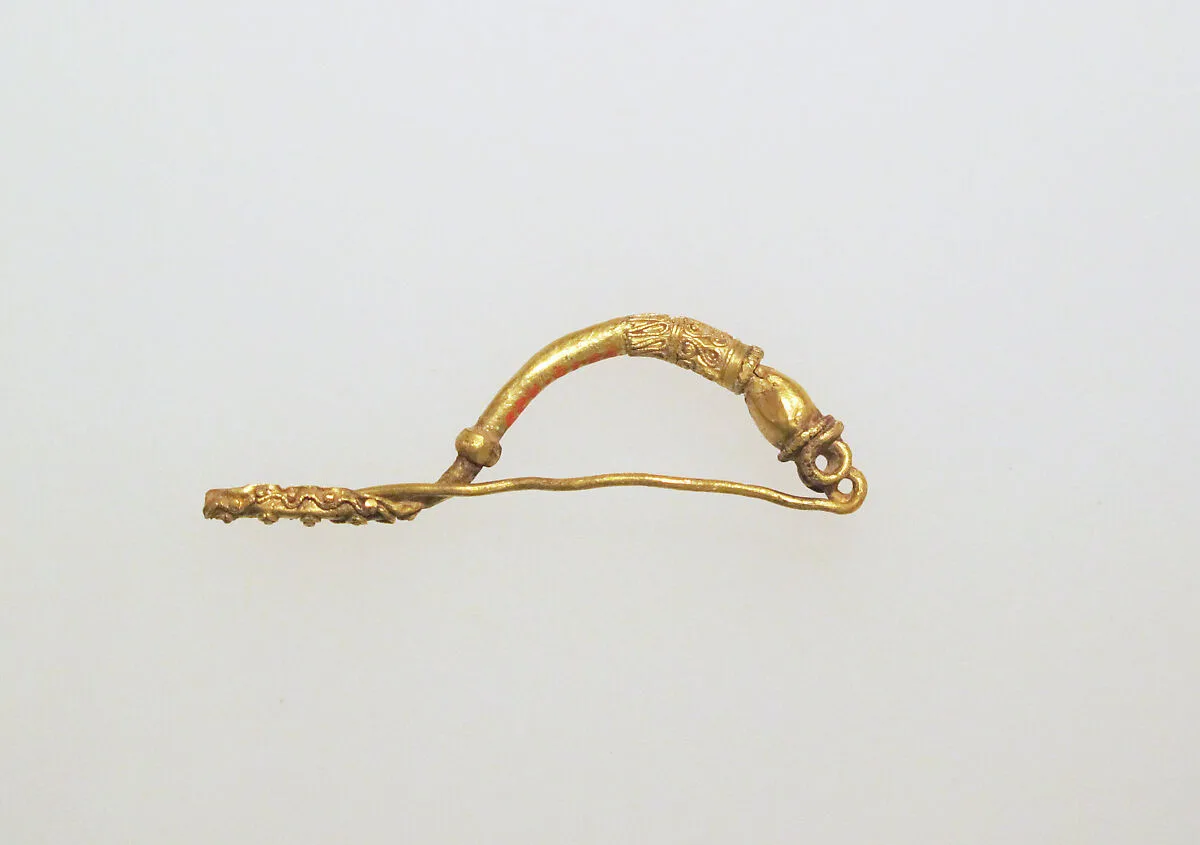 Fibula, bow-shaped — Unknown
