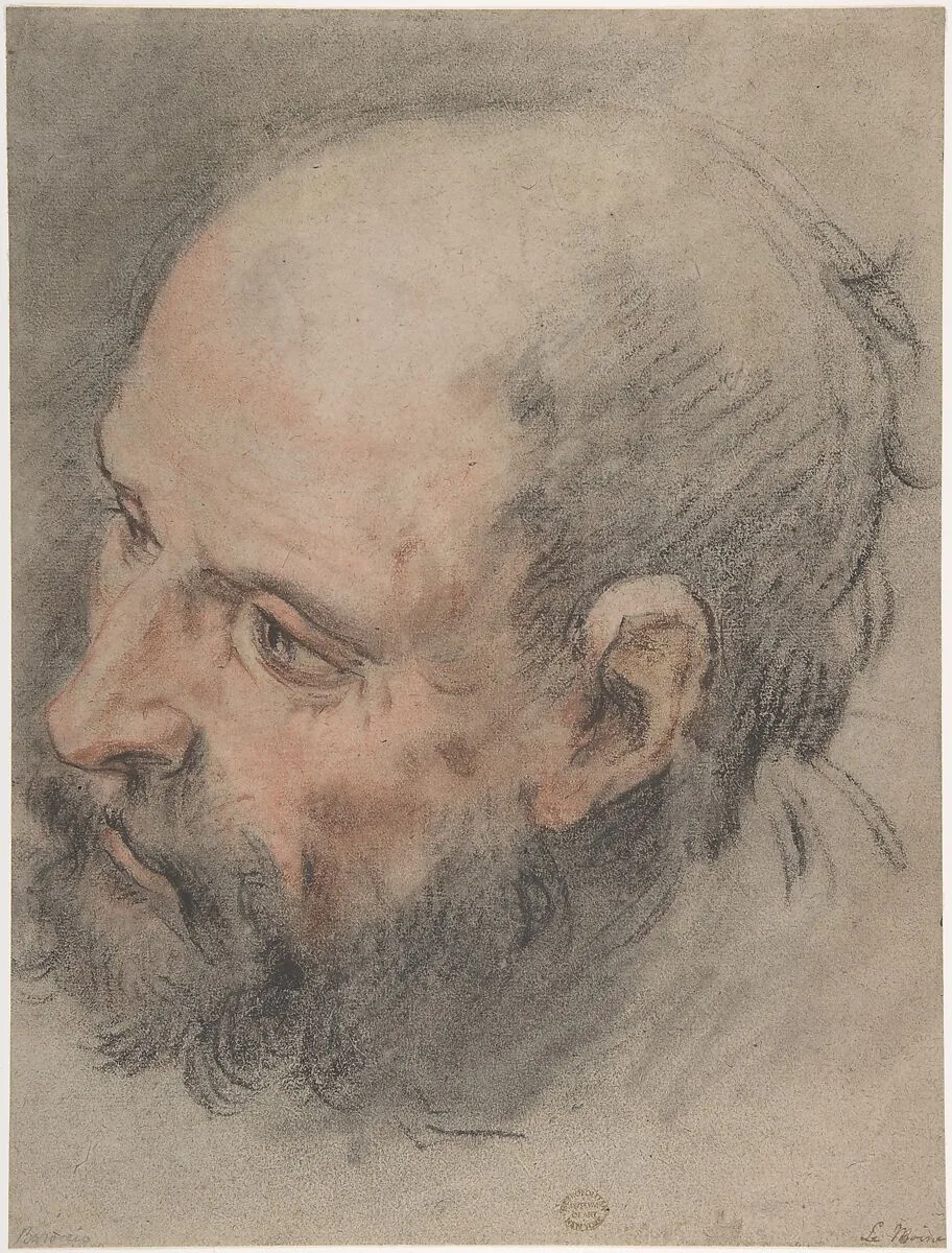 Head of a Bearded Man Looking Left — François Le Moyne