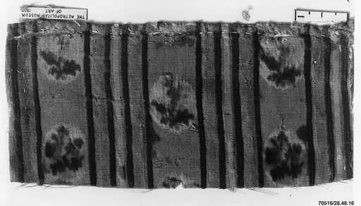 Fragment