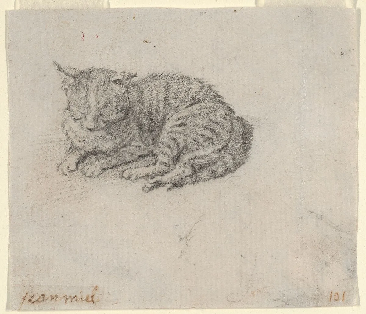 Study of a Sleeping Cat — Jan Miel