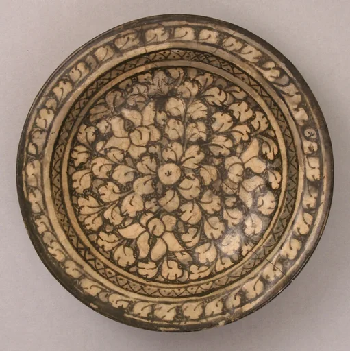 Dish