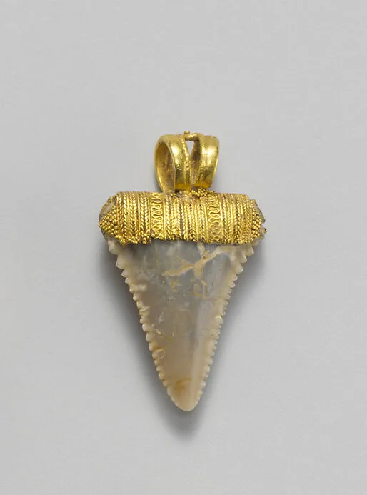 Tooth pendant set in gold — Unknown
