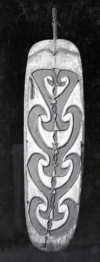 Shield