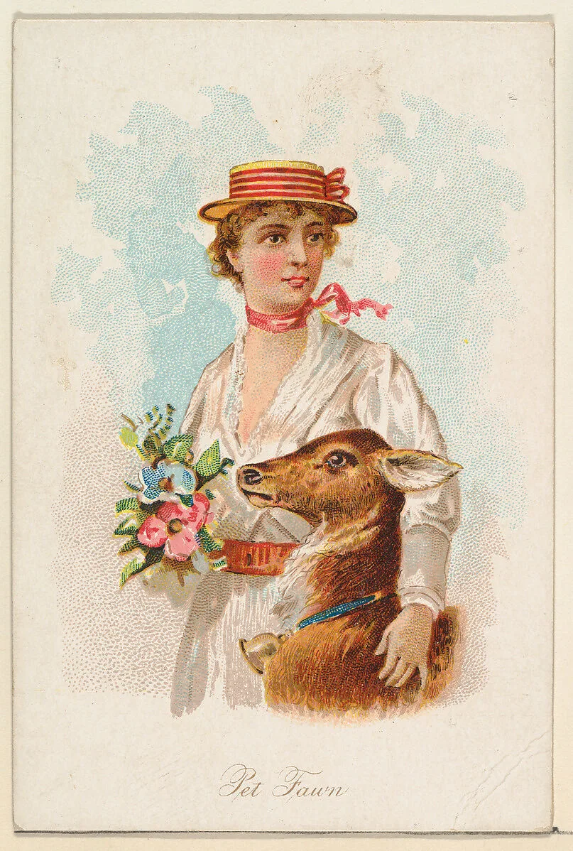 Pet Fawn, from the Household Pets series (N194) issued by Wm. S. Kimball & Co. — William S. Kimball & Company|American Tobacco Company|Julius Bien & Co.