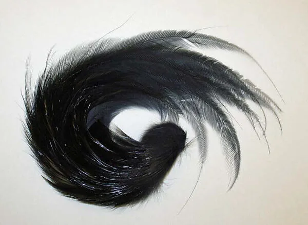 Aigrette — Unknown
