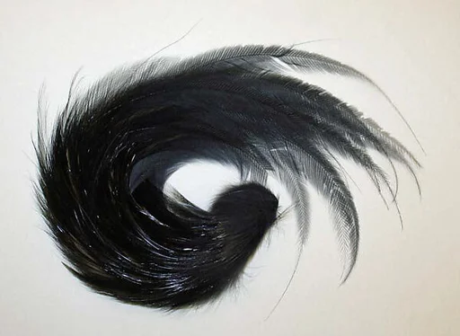 Aigrette