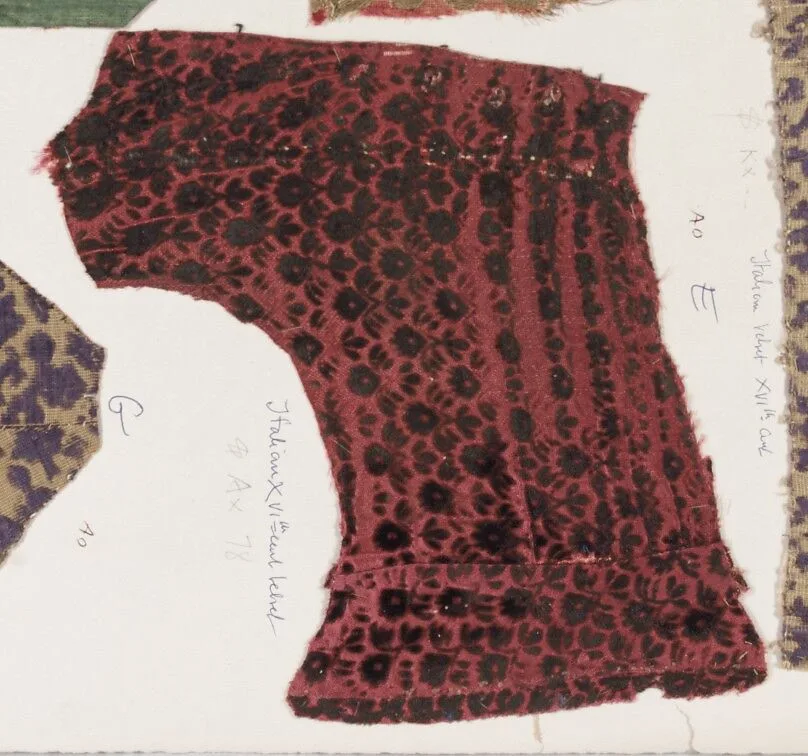 Fragment — Unknown