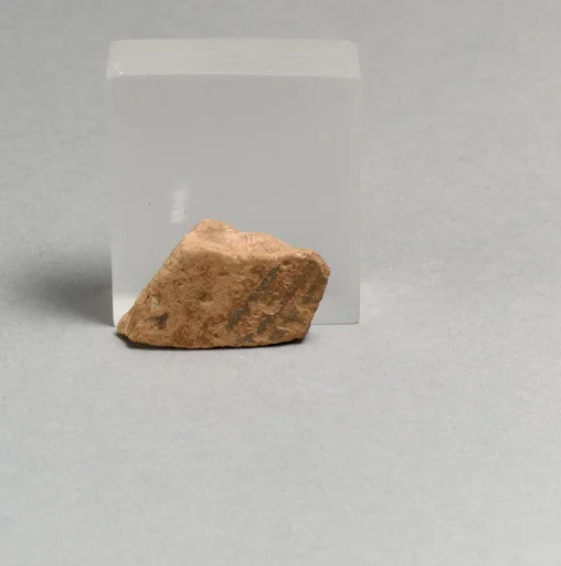 Vase fragment