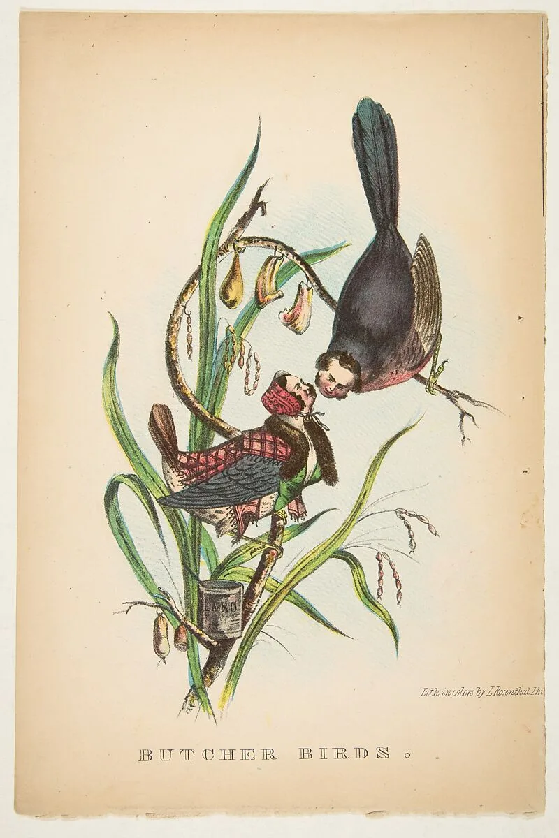 Butcher Birds, from The Comic Natural History of the Human Race — Samuel Robinson|Henry Louis Stephens|Rosenthal
