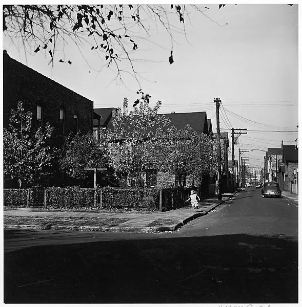 Chicago — Harry Callahan