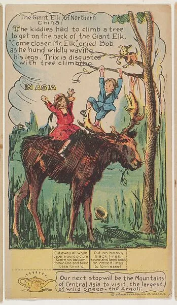 The Giant Elk of Northern China, Asia, collector card from the Dotty, Bob and Trix Cards series (D27), issued by the Pryor Baking Company — Pryor Baking Company