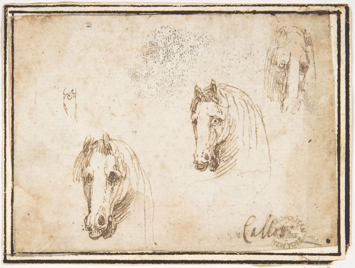 Horses' Heads — Francesco Allegrini