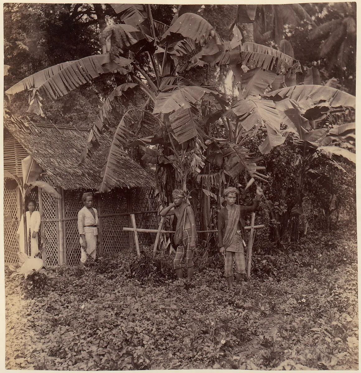Batavia — Unknown