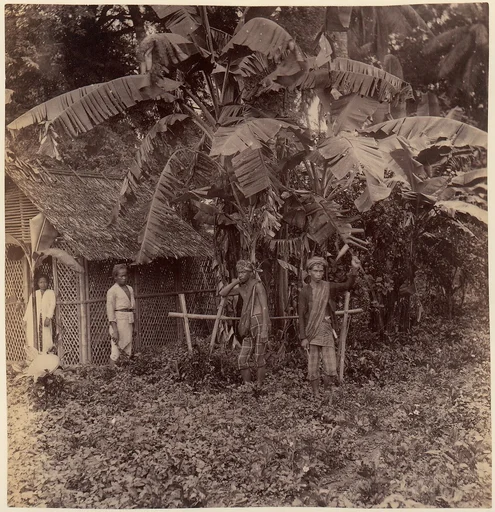 Batavia