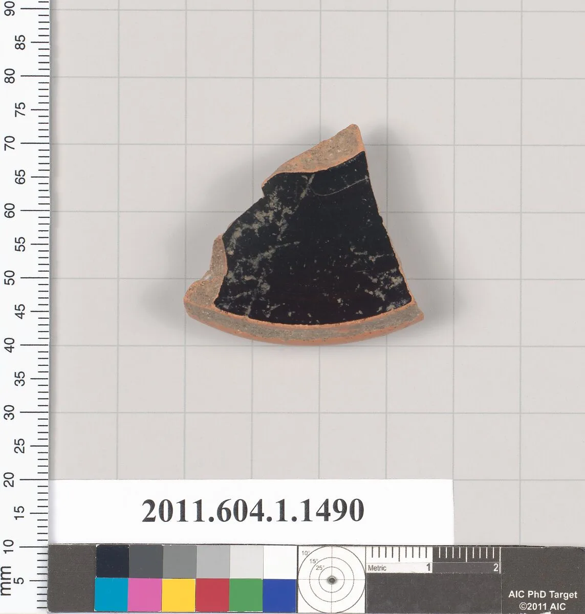 Terracotta fragment of a kylix (drinking cup) — Unknown