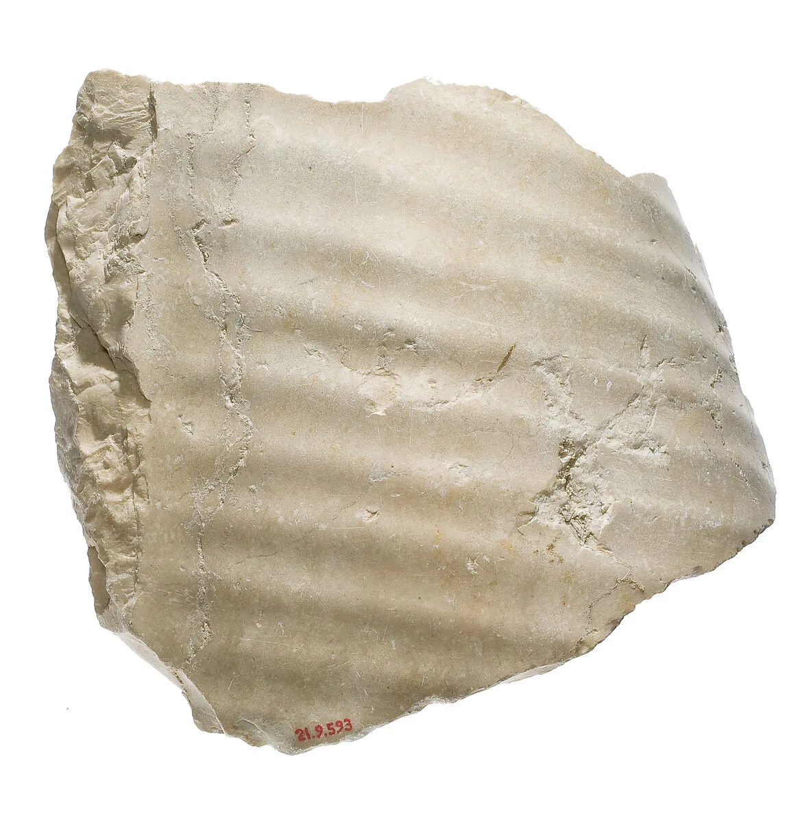 Garment fragment with pleats, probably male — Unknown