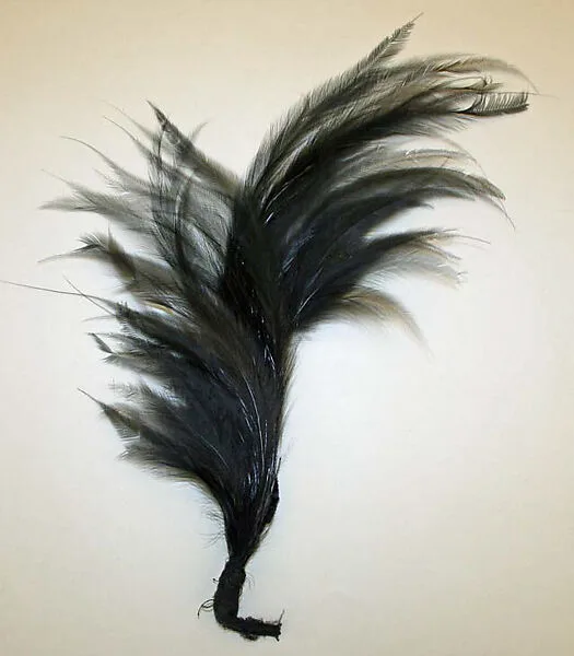 Aigrette — Unknown