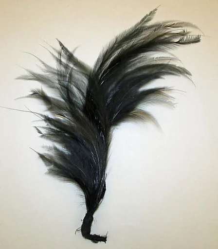 Aigrette