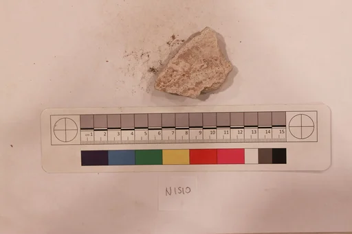 Stucco Fragment