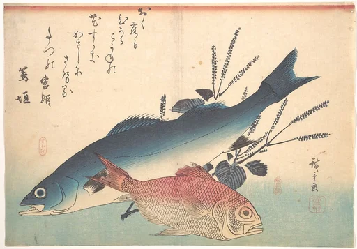魚づくし いなだ ふぐに梅|Suzuki and Kinmedai Fish from the series Uozukushi (Every Variety of Fish)