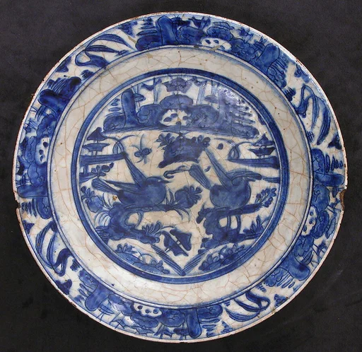 Dish