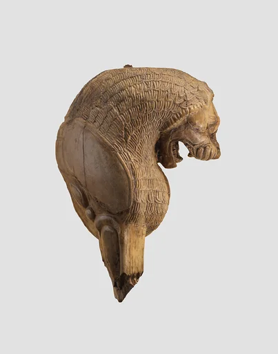 Head and foreleg of a snarling lion