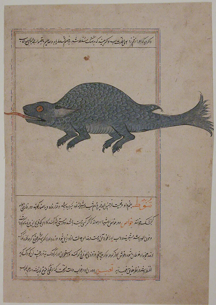 Folio from a Bestiary and Herbal — Unknown