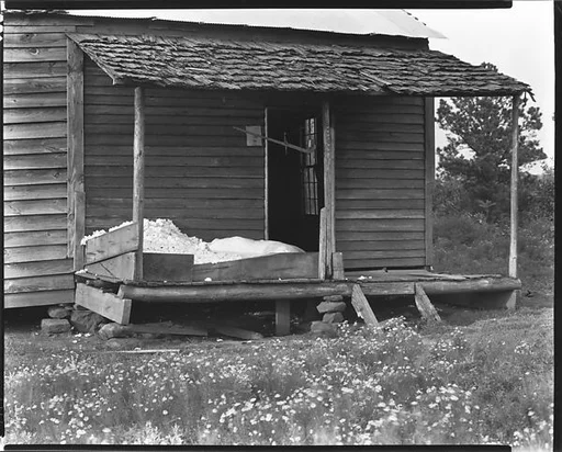 [Bud Fields's House Porch with Picked Cotton, Hale County, Alabama]