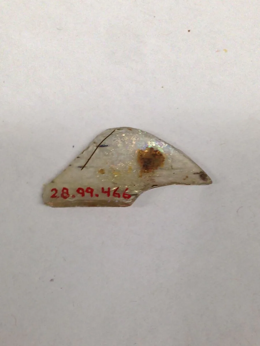 Fragment — Unknown