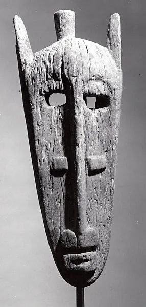 Face Mask — Unknown