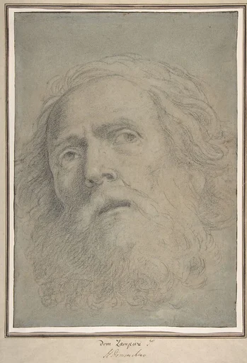 Head of a Bearded Man