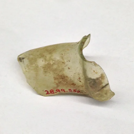 Fragment
