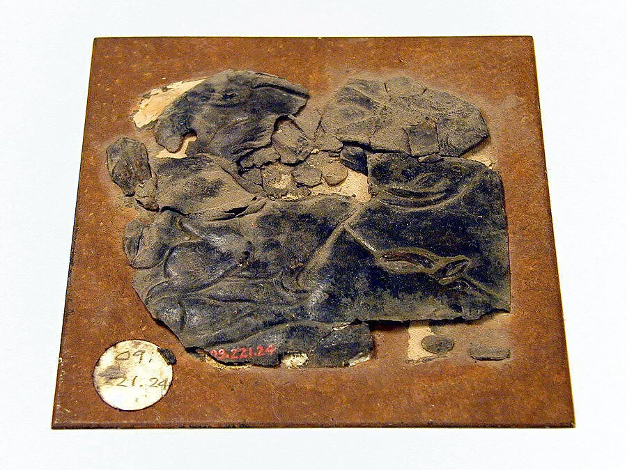 Relief of goats — Unknown