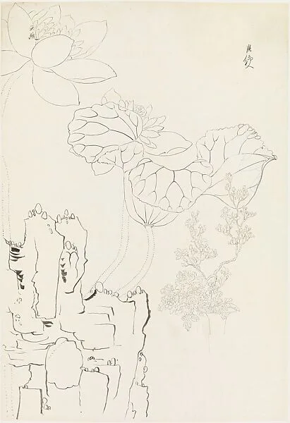 現代 謝稚柳 臨陳洪綬蓮石花卉畫稿 鏡片|Lotus, Rock, and Flower Study, after Chen Hongshou — Xie Zhiliu