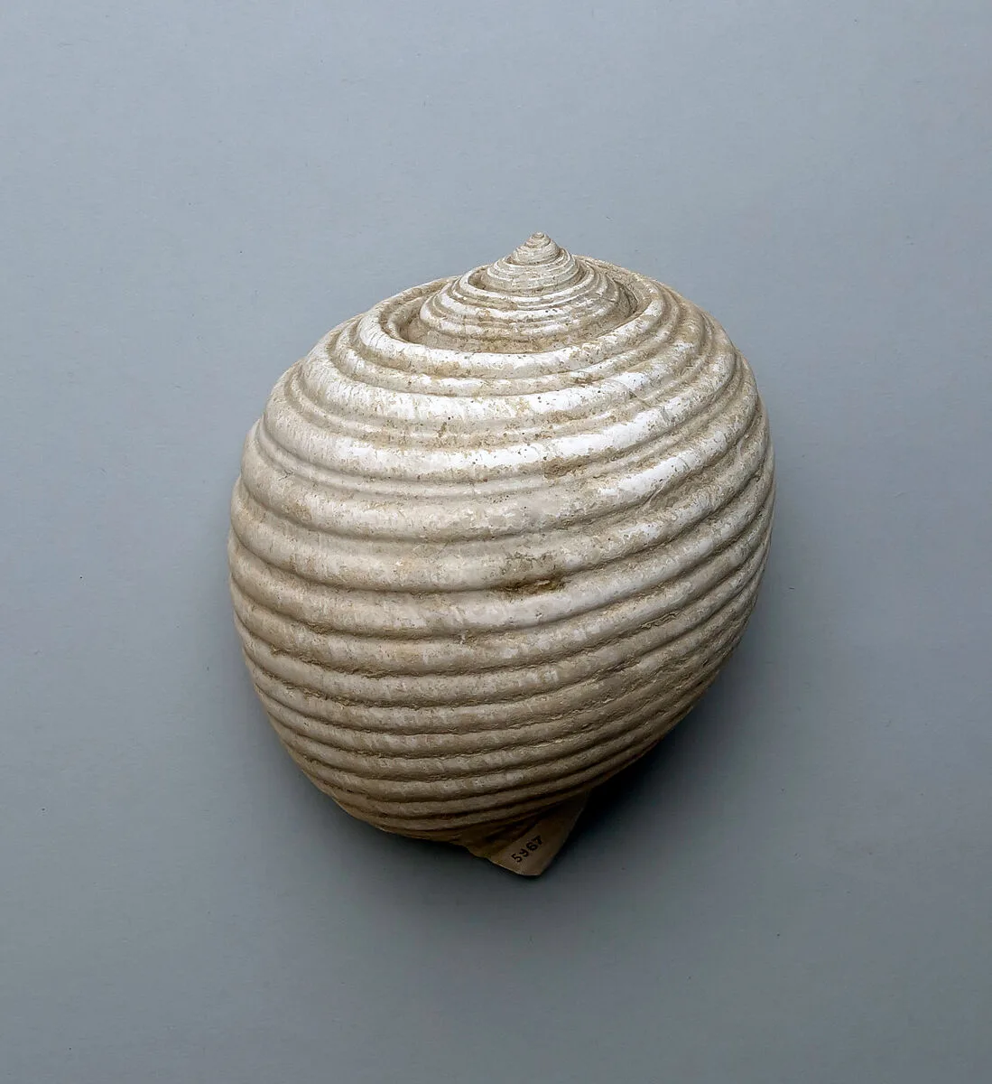 Shell — Unknown