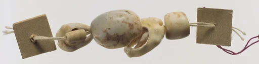 Shell beads