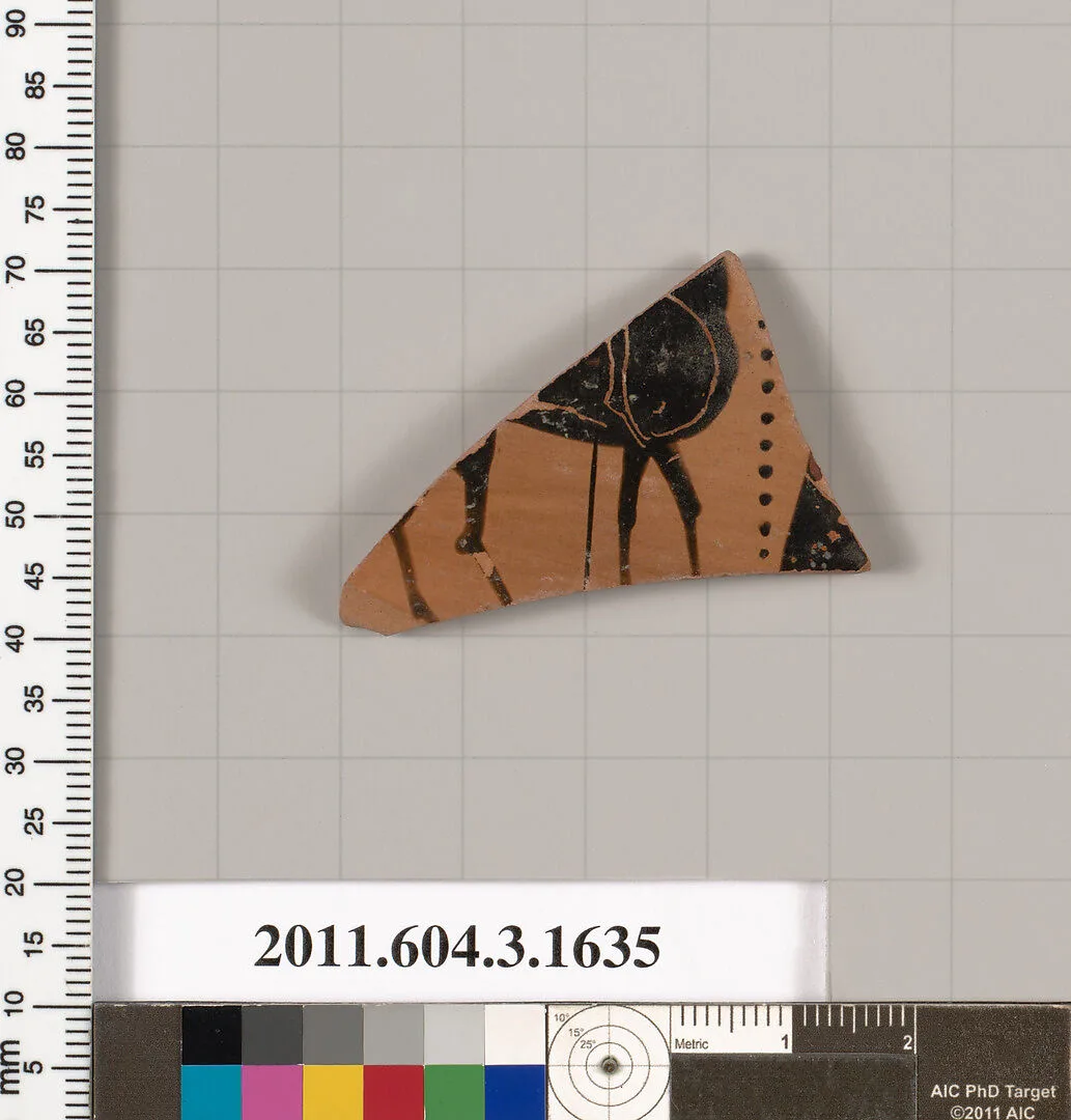 Terracotta fragment of a kylix: Band cup (drinking cup) — Unknown