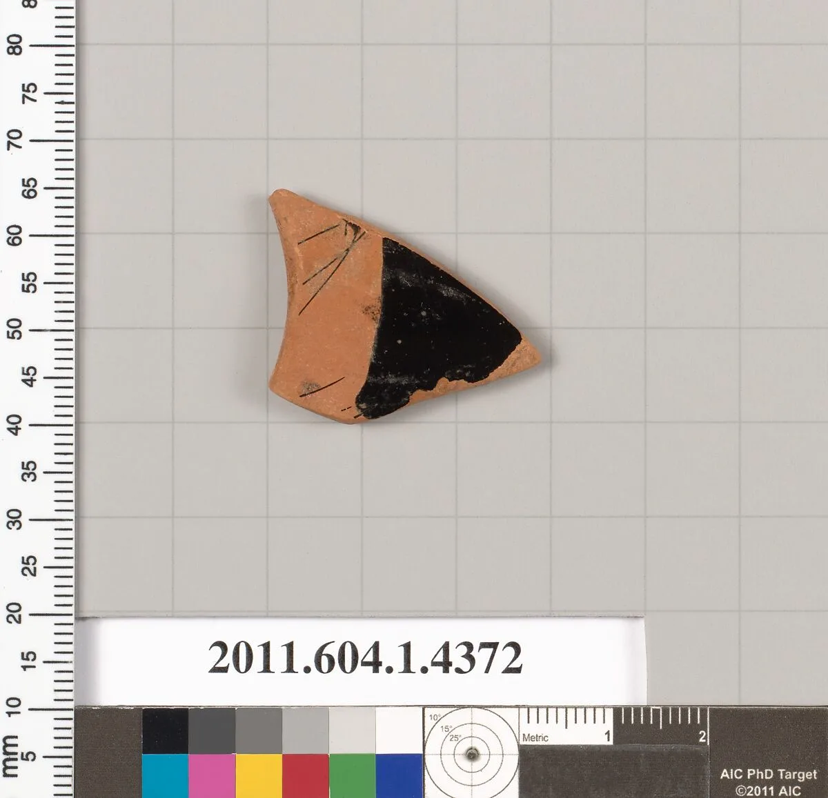Terracotta fragment of a kylix (drinking cup) — Unknown