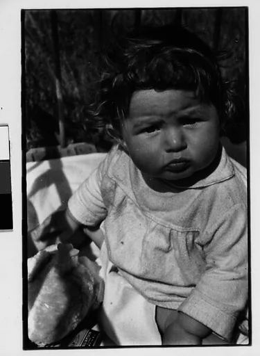 [Three 35mm Film Frames: Ezra Shahn, Cape Cod?, Massachusetts]